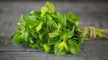 garnishing-instructions-image